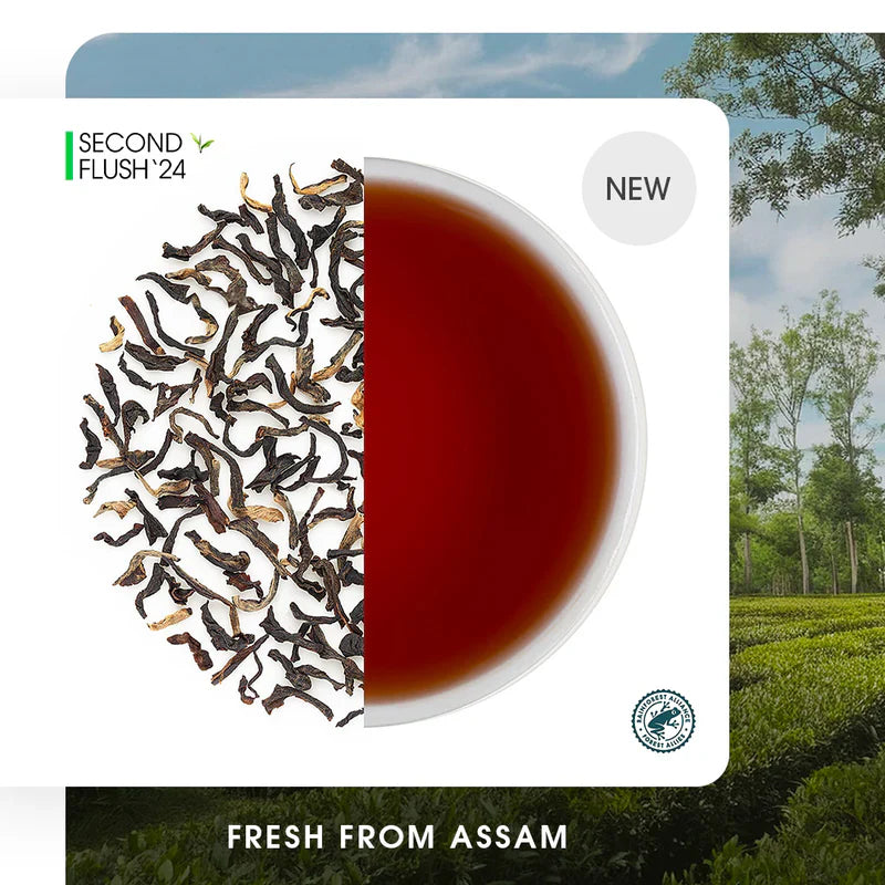 Assam Dejoo Summer Black