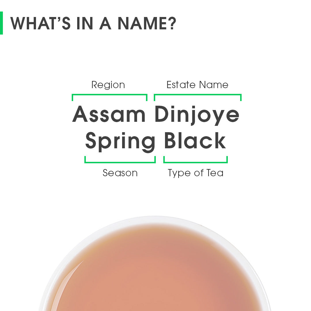 Assam Dinjoye Spring Black