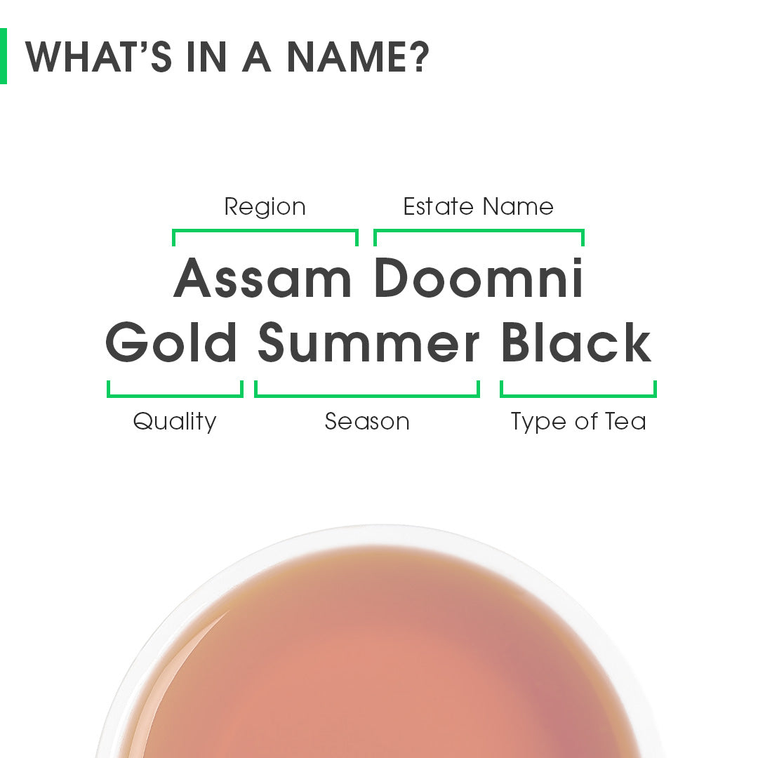 Assam Doomni Gold Summer Black