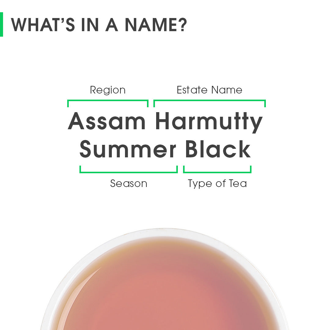 Assam Harmutty Summer Black