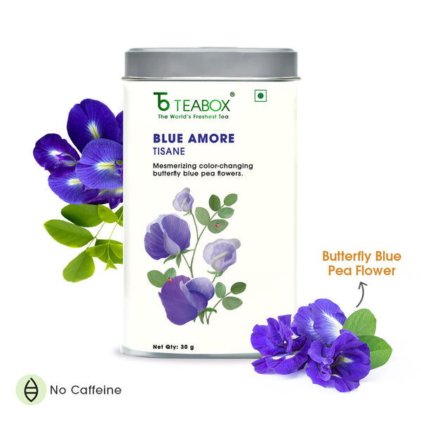 Butterfly Blue Pea Flower (Blue Amore)