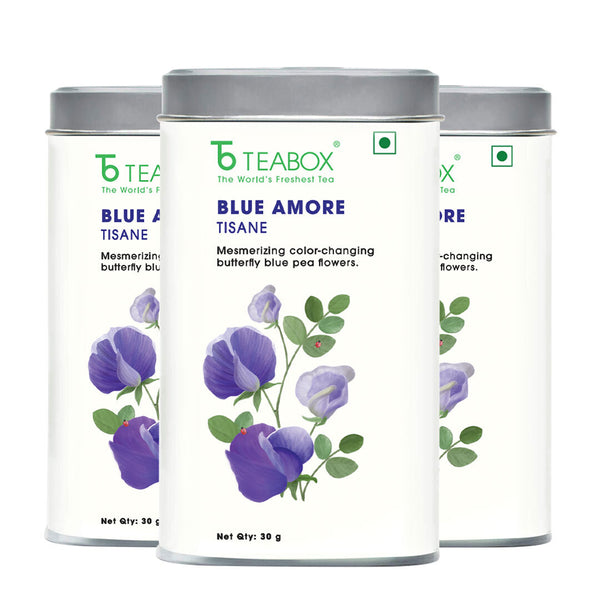 Butterfly Blue Pea Flower (Blue Amore)