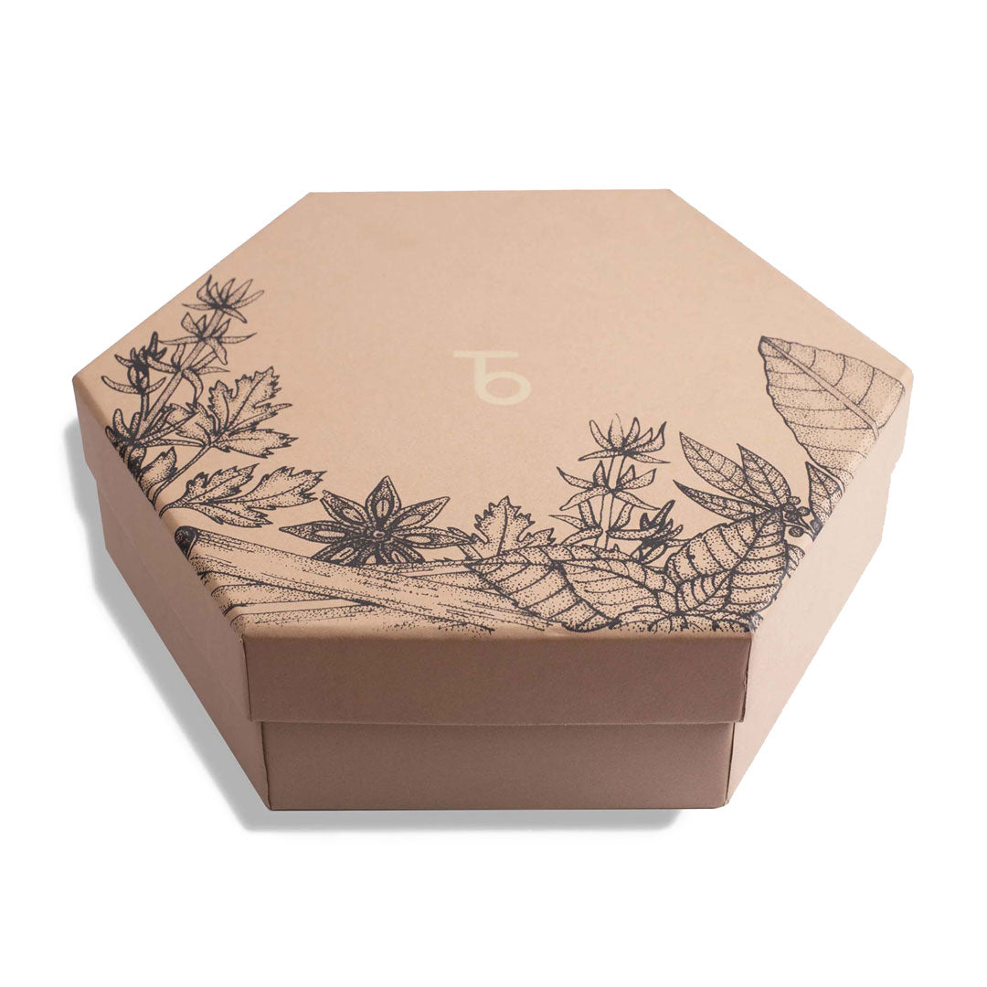 Organic Assorted Variety Tea Gift Set- Energy and Balance Gift Box – Luxmi  Estates