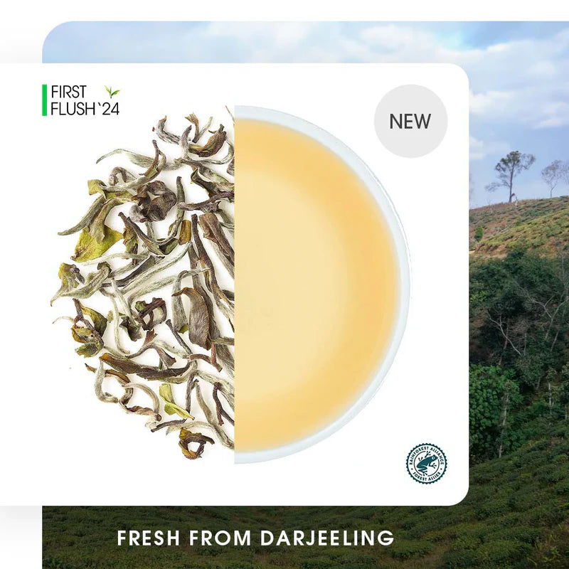 Darjeeling Badamtam Spring Moonlight White (Limited Edition)