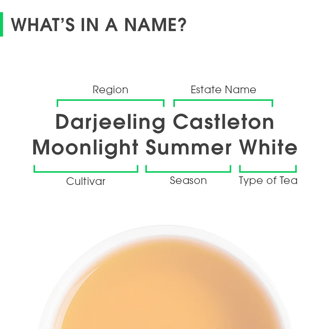 Darjeeling Castleton Moonlight Summer White