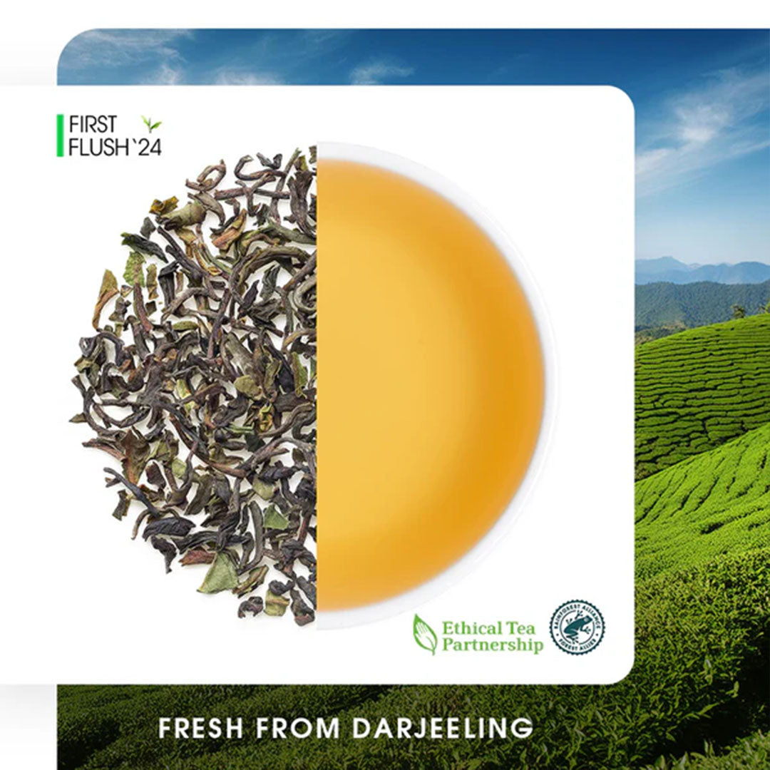 Darjeeling Castleton Spring Chinary Black