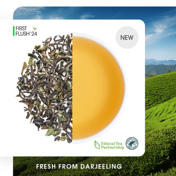 Darjeeling Castleton Spring Chinary Black