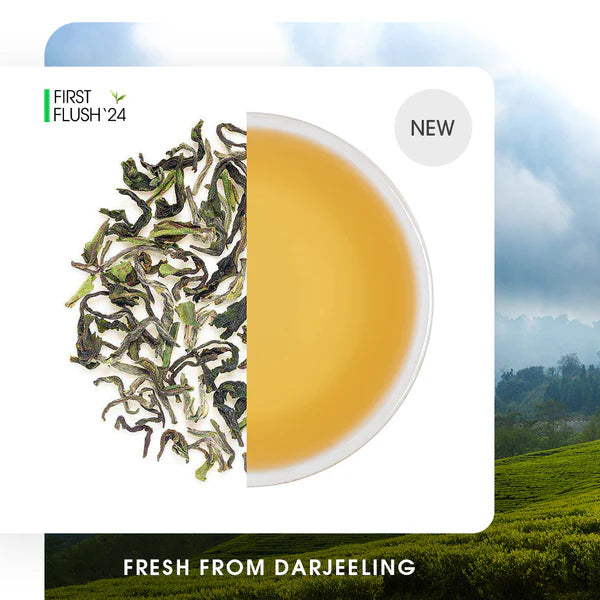 Darjeeling Giddapahar Spring Chinary Black