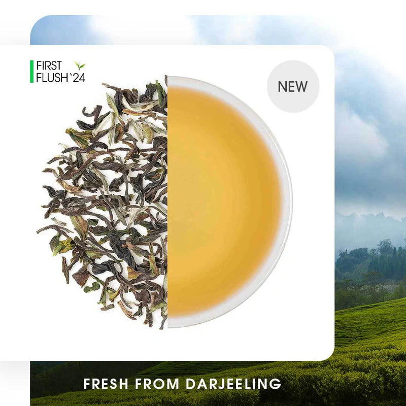 Darjeeling Giddapahar Spring Chinary Black (Signature Series)