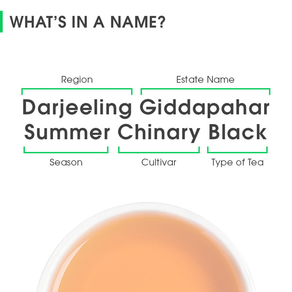 Darjeeling Giddapahar Summer Chinary Black