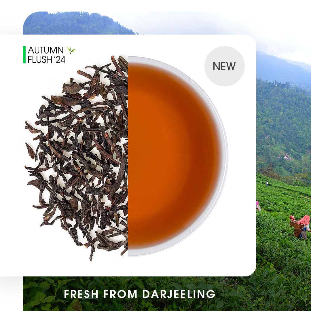 Darjeeling Goomtee Autumn Chinary Black