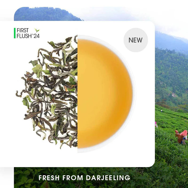 Darjeeling Goomtee Spring Chinary Black (Limited Edition)