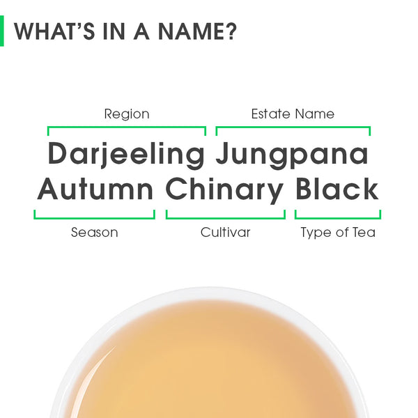 Darjeeling Jungpana Autumn Chinary Black