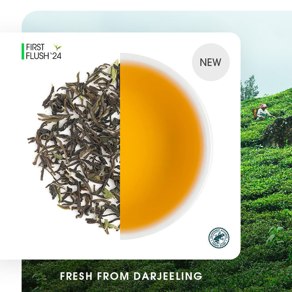 Darjeeling Jungpana Spring Chinary Black