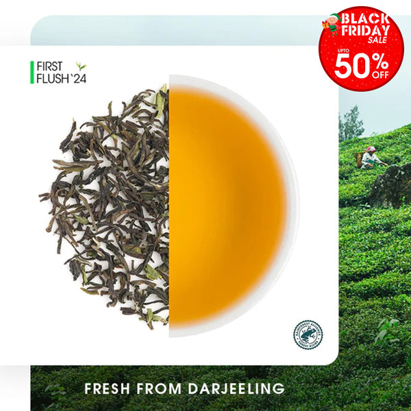 Darjeeling Jungpana Spring Chinary Black