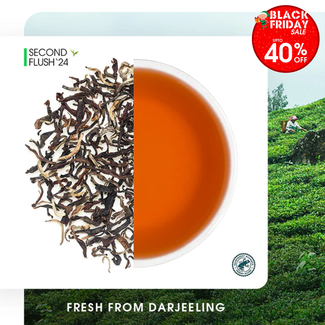 Darjeeling Jungpana Summer Chinary Black