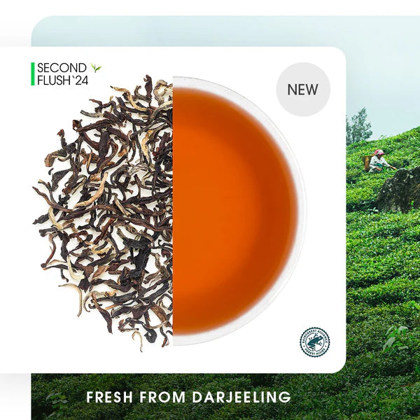 Darjeeling Jungpana Summer Chinary Black