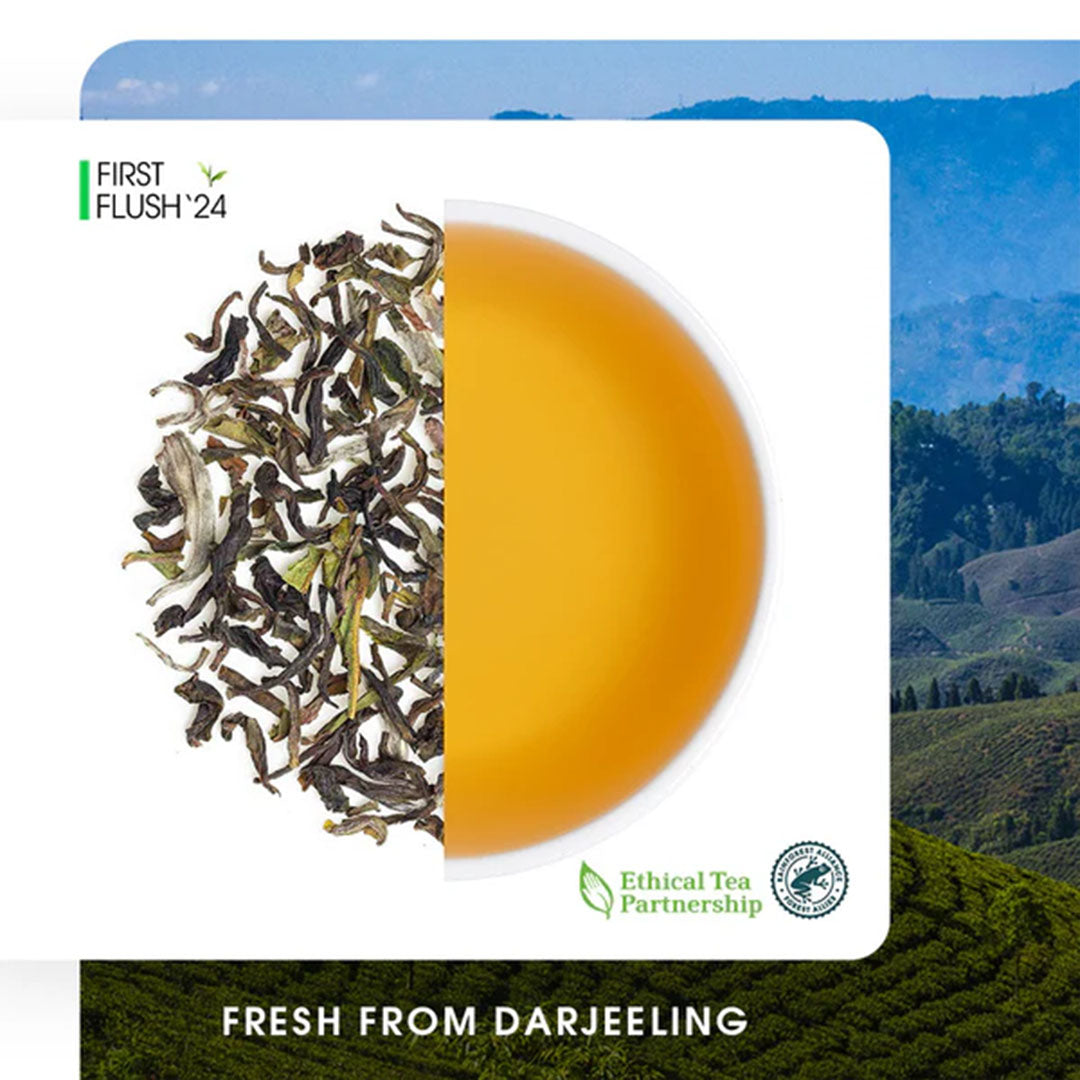 Darjeeling Margaret's Hope Spring Chinary Black