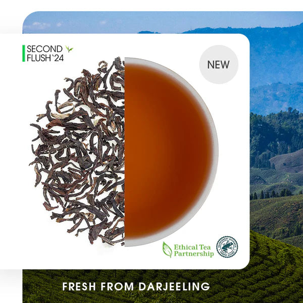 Darjeeling Margaret's Hope Summer Chinary Black