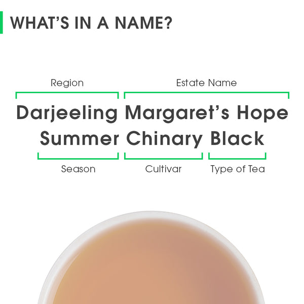 Darjeeling Margaret's Hope Summer Chinary Black
