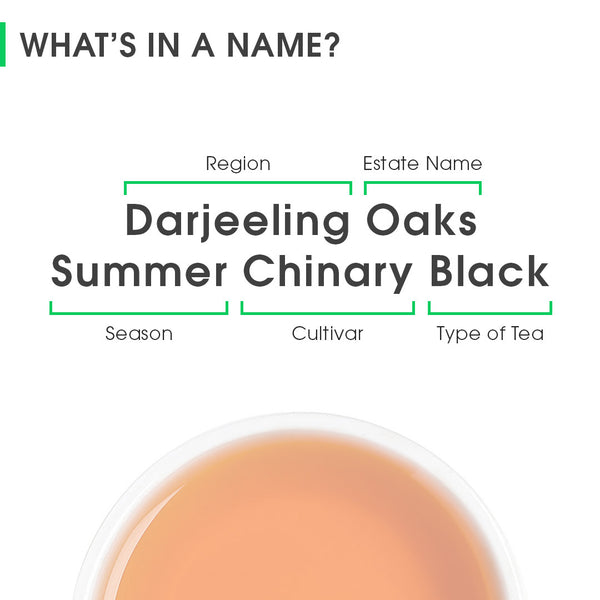 Darjeeling Oaks Summer Chinary Black