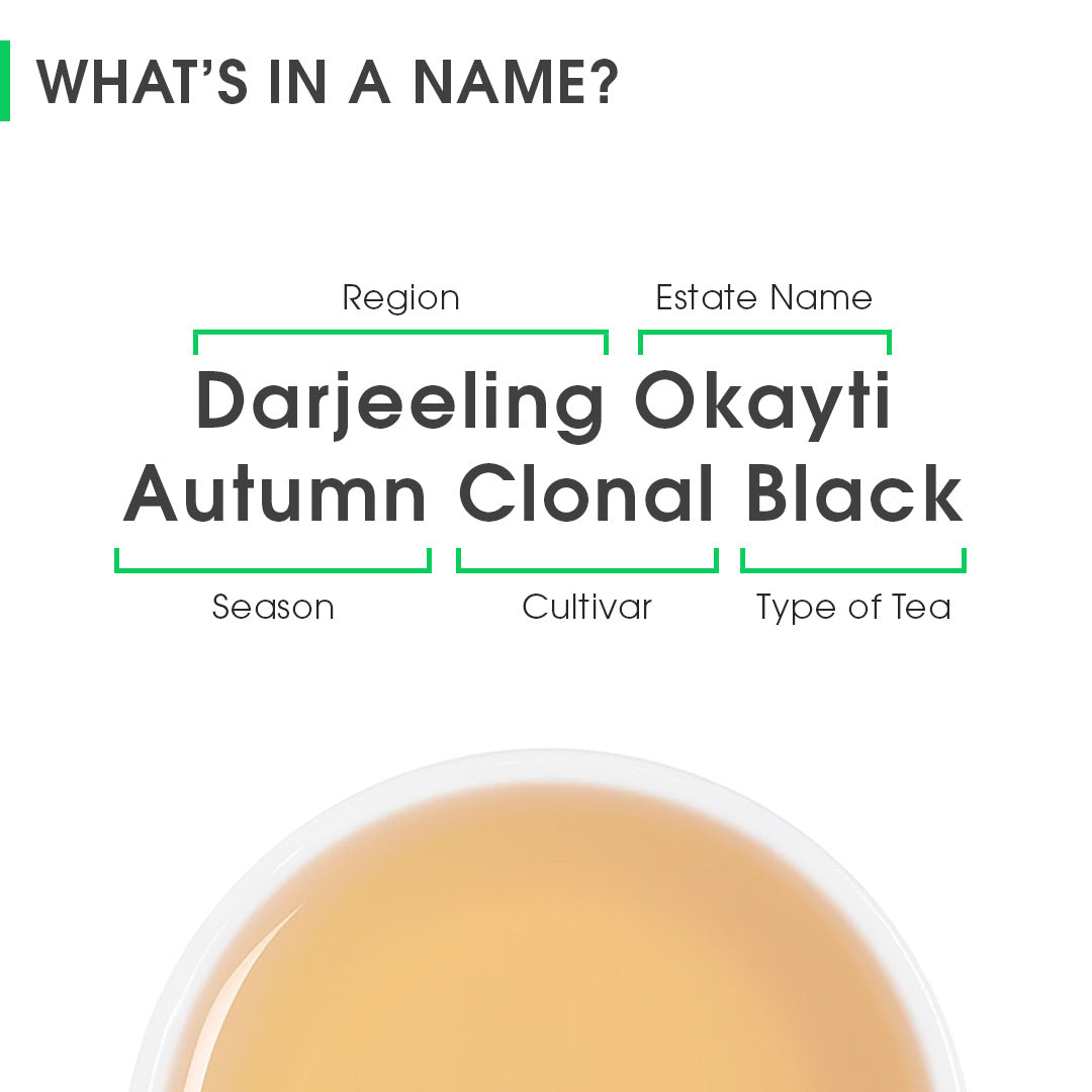 Darjeeling Okayti Autumn Clonal Black (Limited Edition)