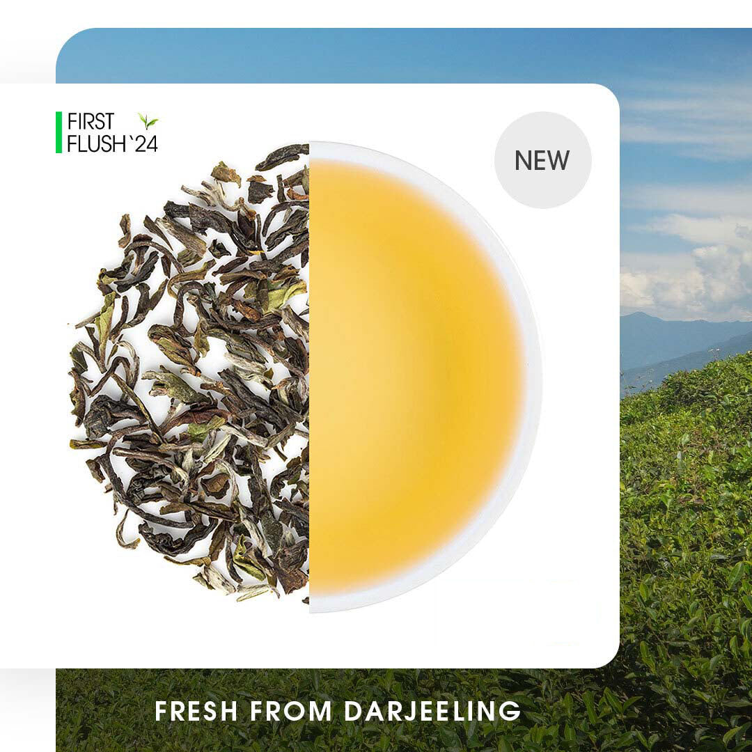 Darjeeling Okayti Spring Clonal Black (Signature Series)