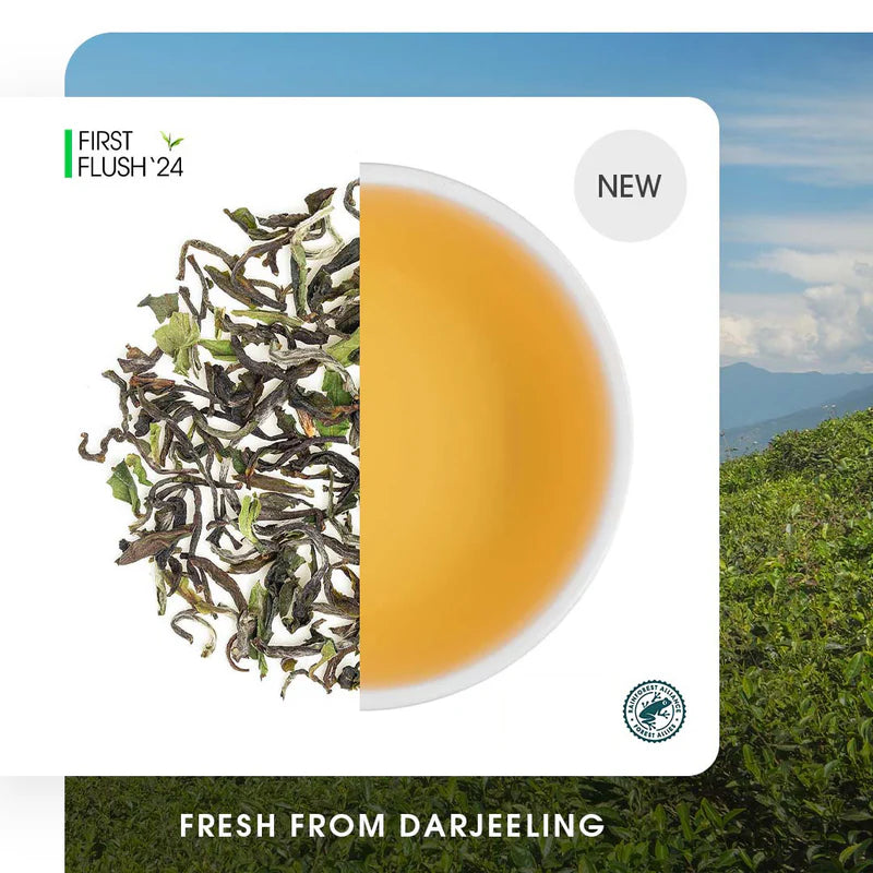 Darjeeling Okayti Spring Clonal Black (Limited Edition)