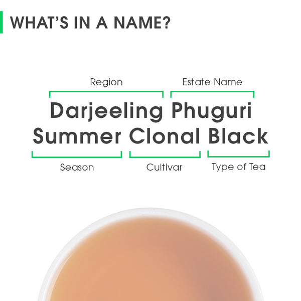 Darjeeling Phuguri Summer Clonal Black