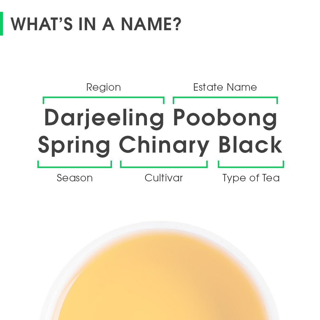 Darjeeling Poobong Spring Chinary Black