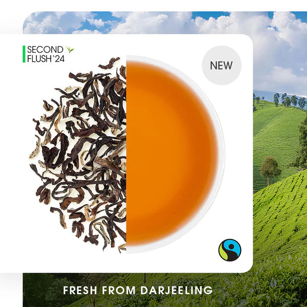 Darjeeling Samabeong Summer Muscatel Black (Limited Edition)