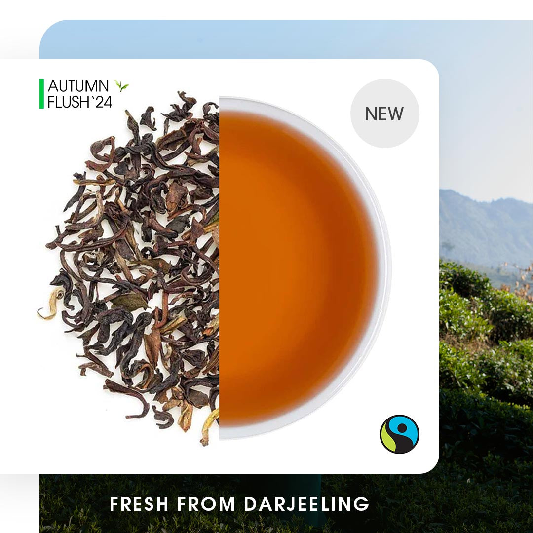 Darjeeling Selimbong Autumn Chinary Black