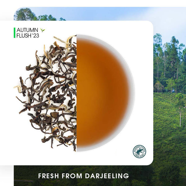 Darjeeling Singbulli Autumn Clonal Black (Limited Edition)