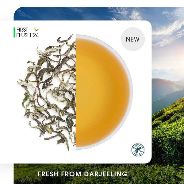 Darjeeling Snowview Spring Clonal Black