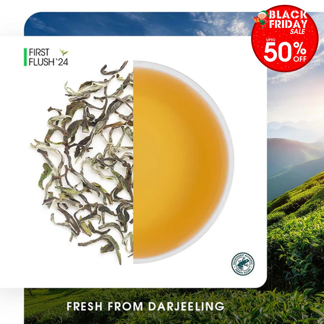 Darjeeling Snowview Spring Clonal Black