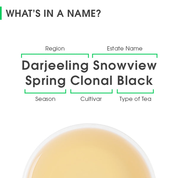 Darjeeling Snowview Spring Clonal Black
