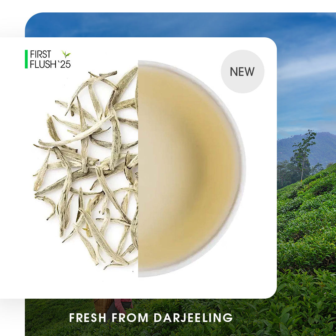 Darjeeling Special Spring Silver Needle White