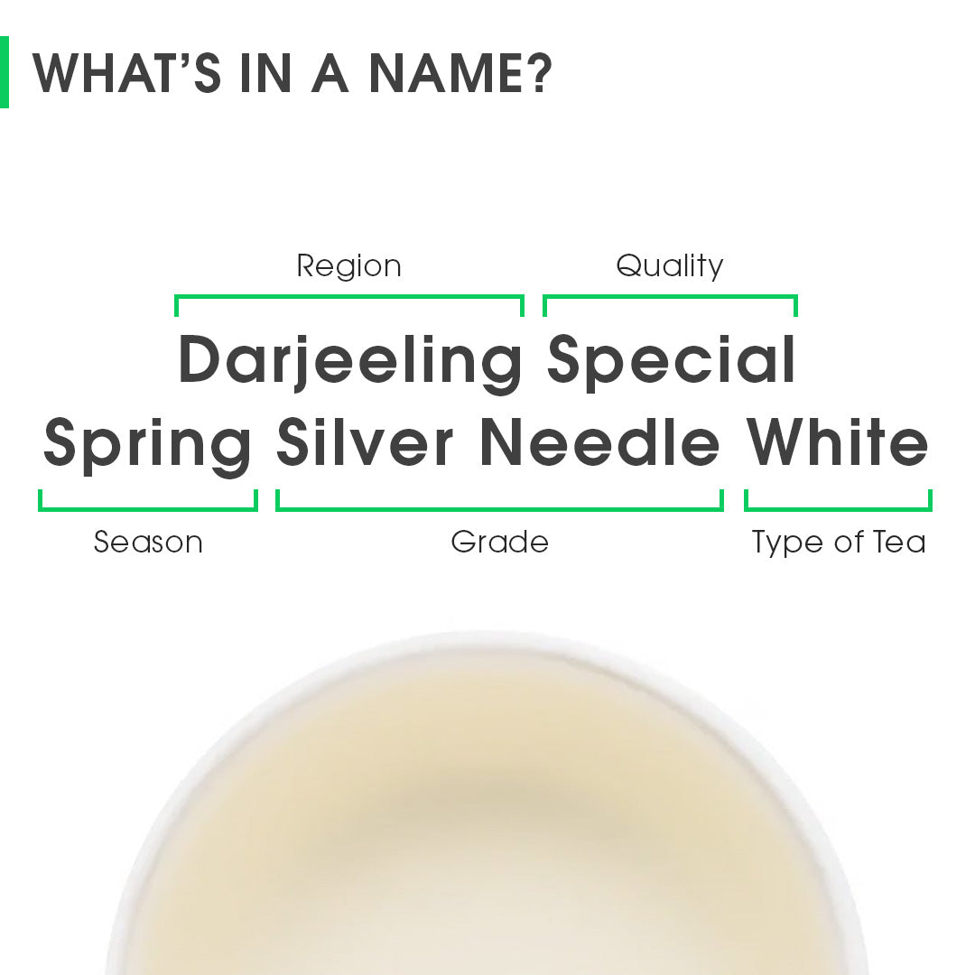 Darjeeling Special Spring Silver Needle White