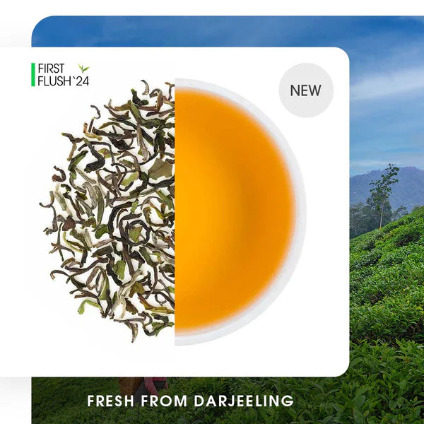 Darjeeling Spring Chinary Black