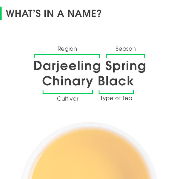 Darjeeling Spring Chinary Black