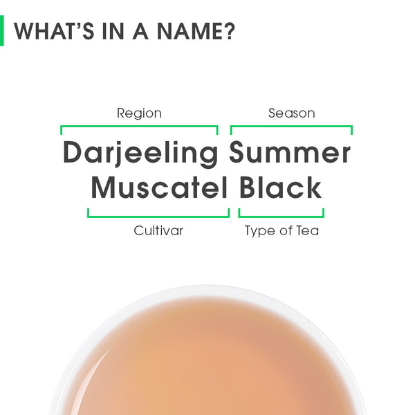 Darjeeling Summer Muscatel Black