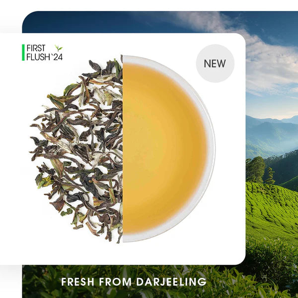 Darjeeling Thurbo Spring Chinary Black