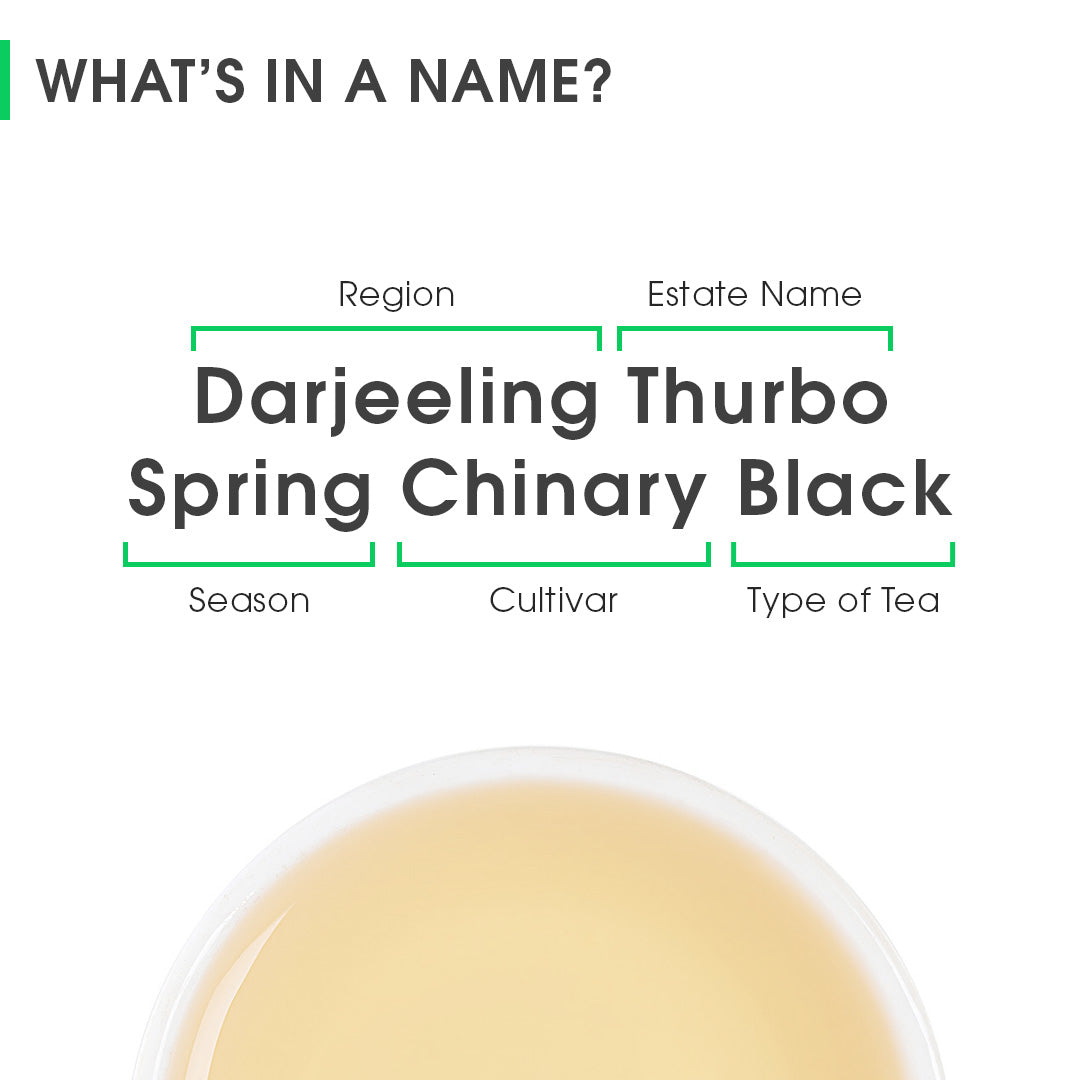 Darjeeling Thurbo Spring Chinary Black