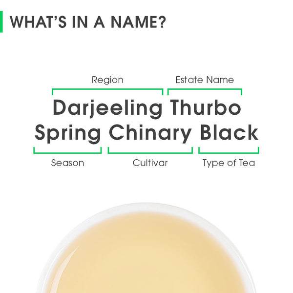 Darjeeling Thurbo Spring Chinary Black
