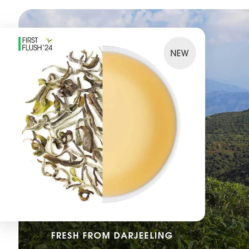 Darjeeling Turzum Spring Moonlight White