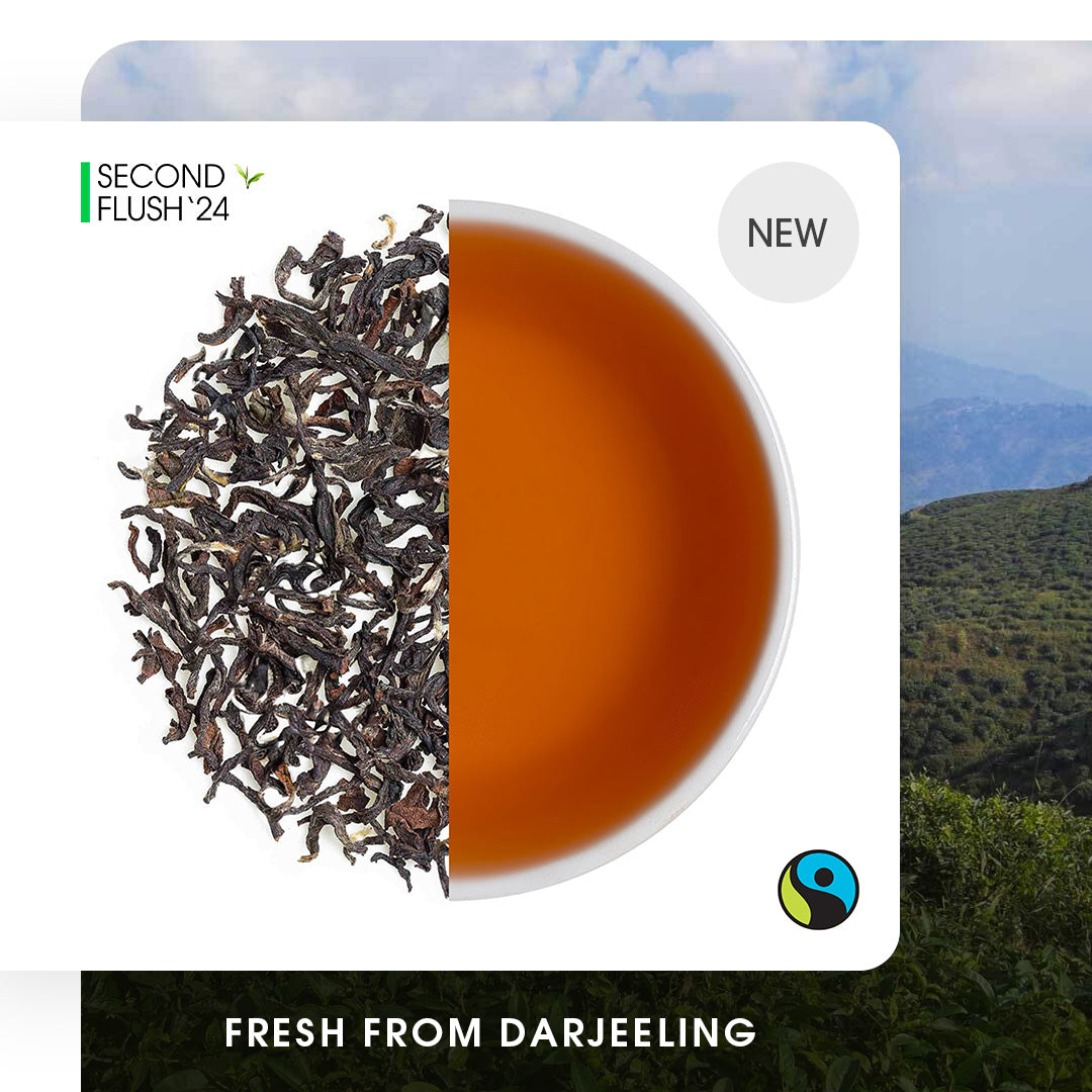 Darjeeling Turzum Summer Chinary Black