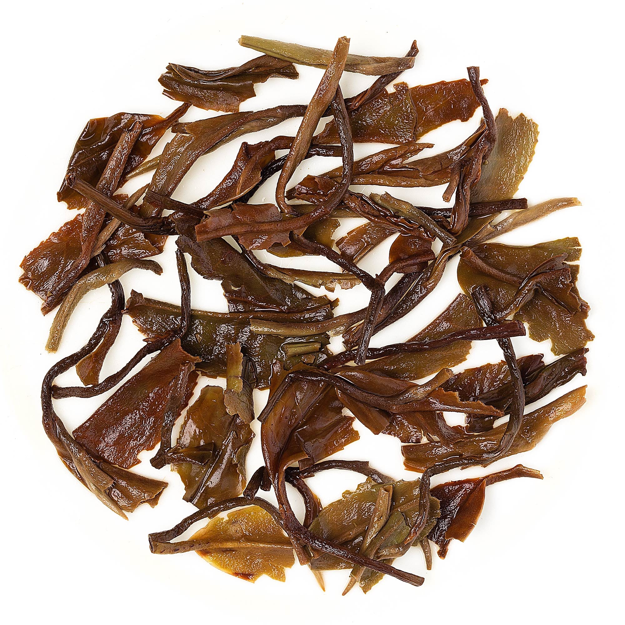 Meghalaya Lakyrsiew Summer Clonal Black