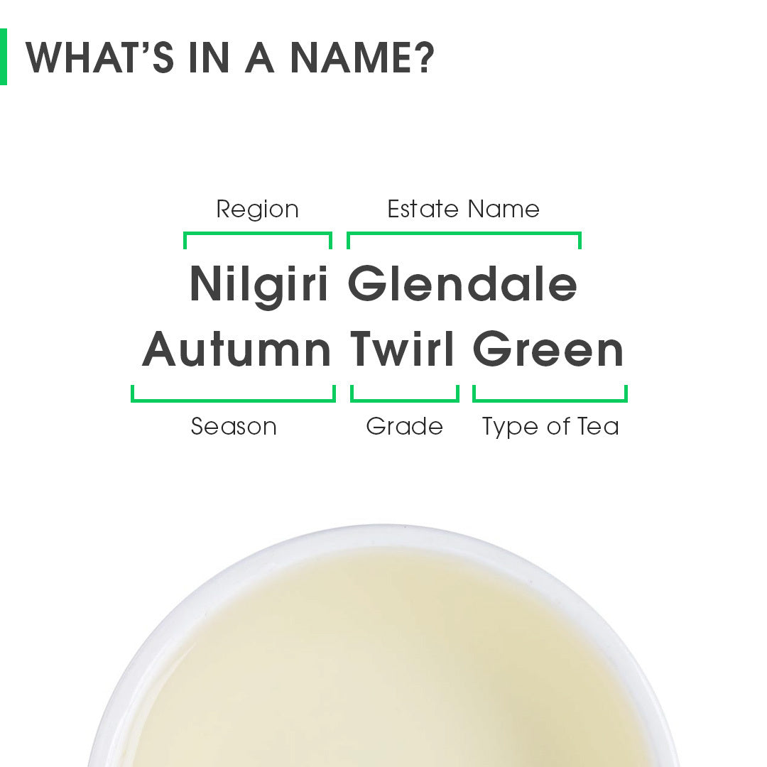 Nilgiri Glendale Autumn Twirl  Green