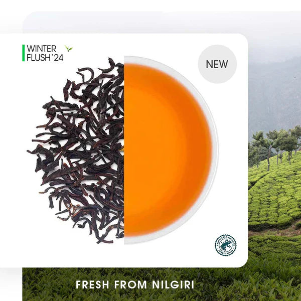 Nilgiri Havukal Winter Frost Black