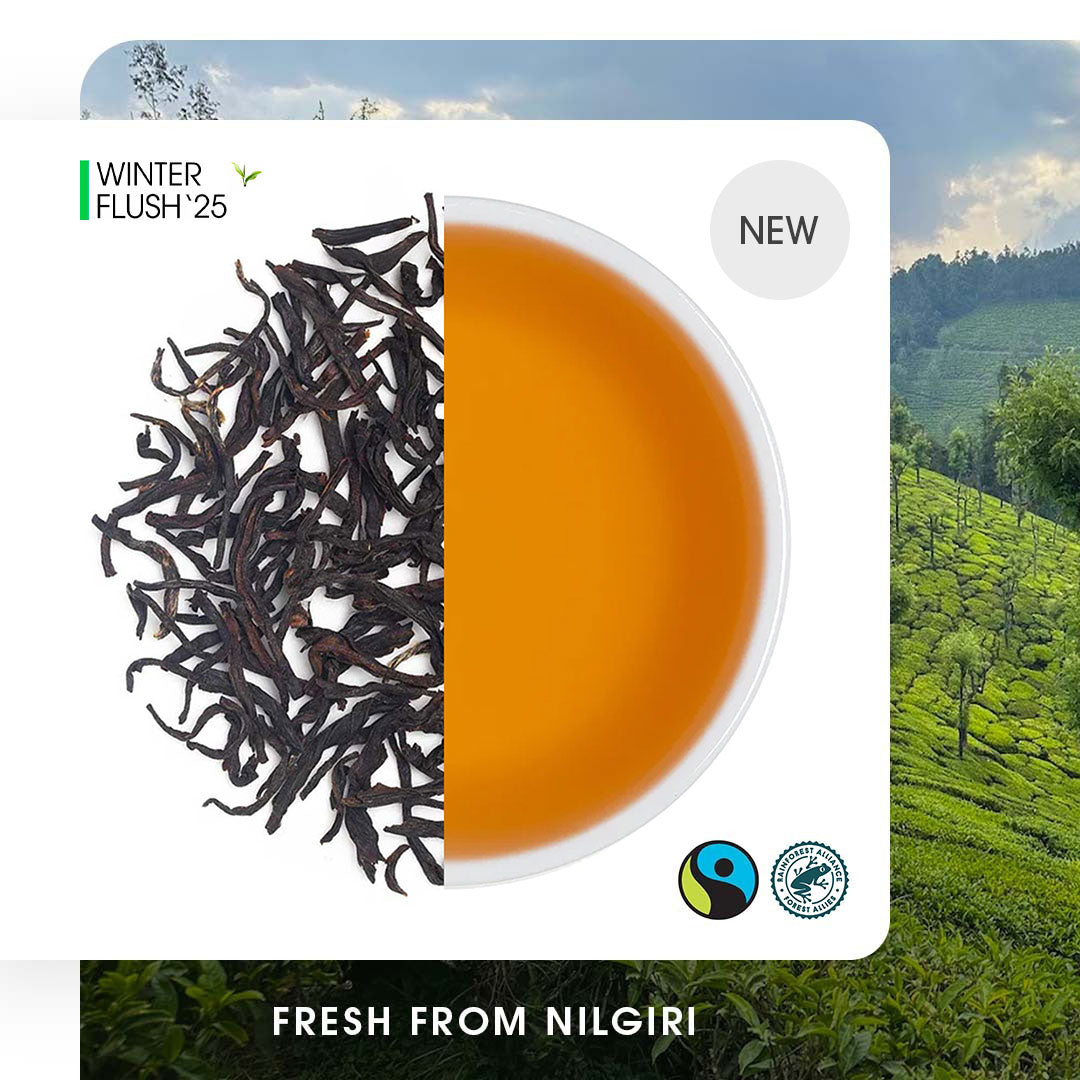 Nilgiri Korakundah Winter Frost Black